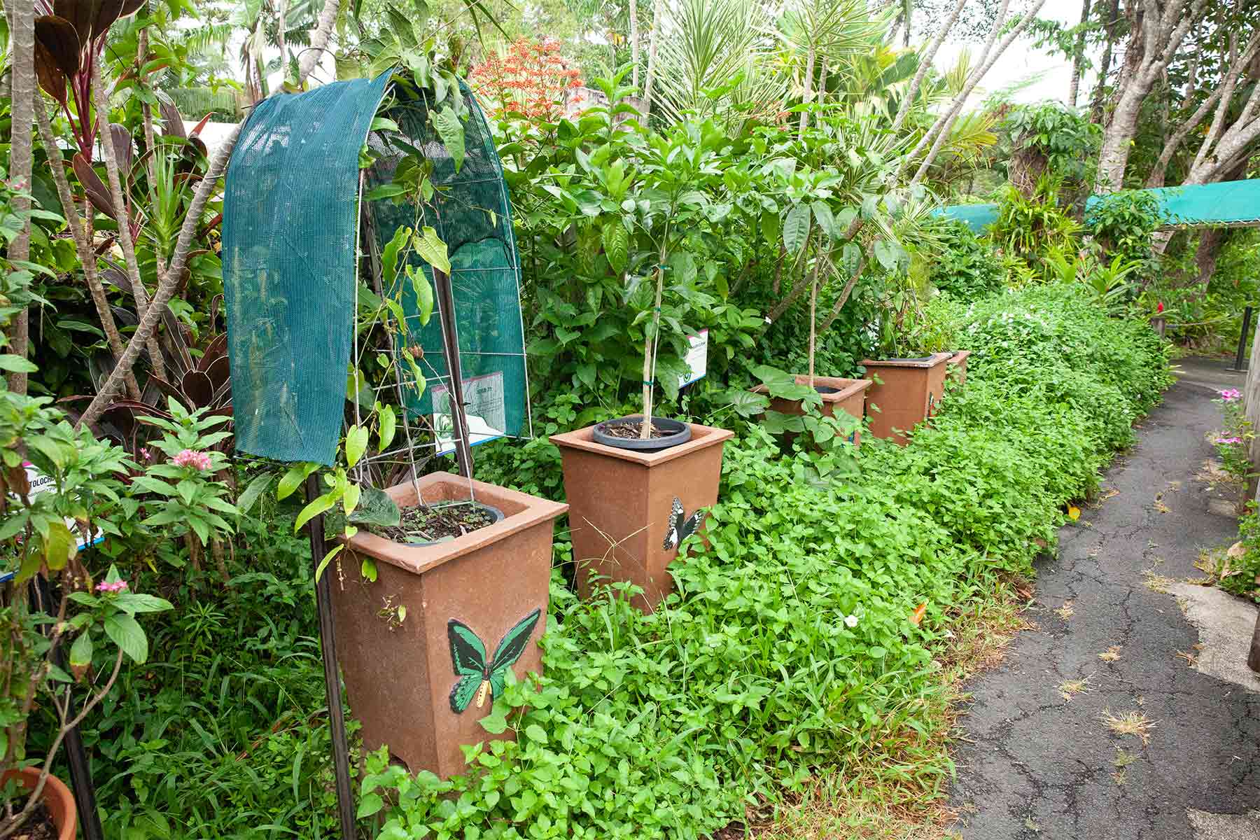 Plant walk