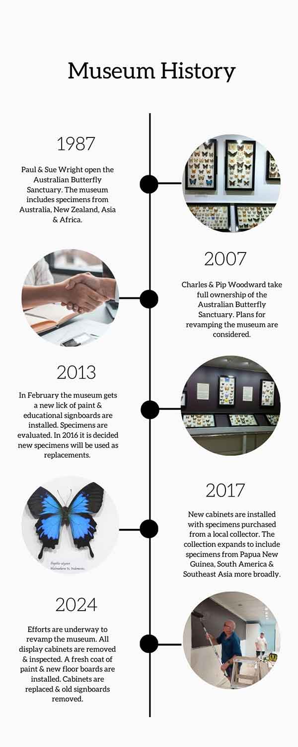 History Timeline